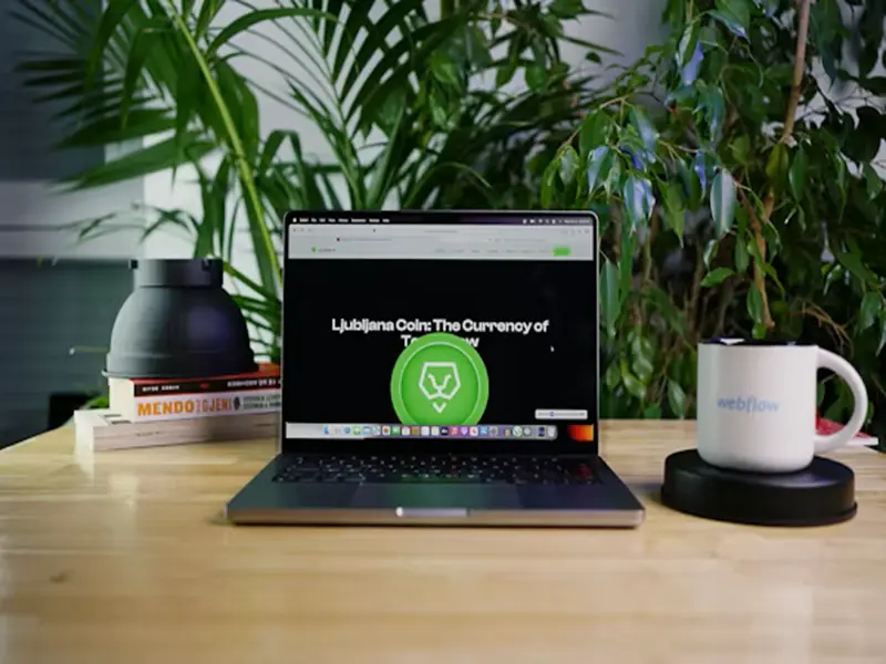 Best password security VPN tools USA secure browsing